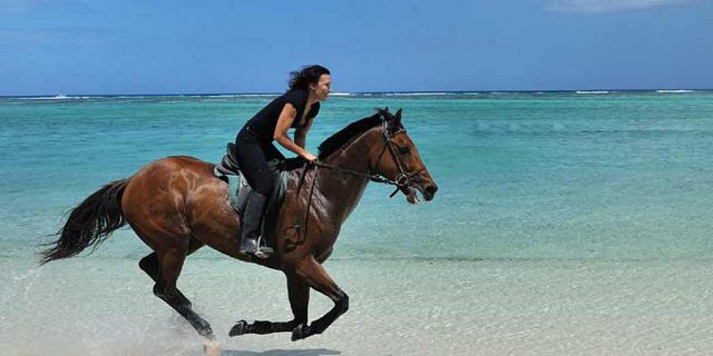 Morne horse beach ride mauritius (4)